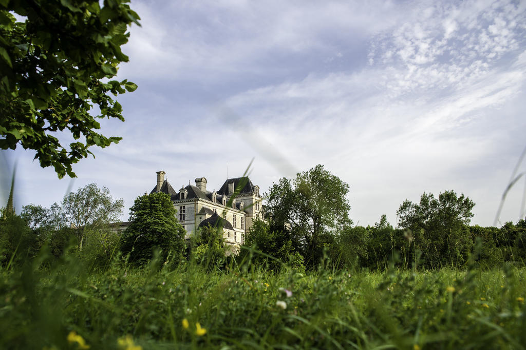 Hotel Restaurant Du Chateau De La Tour Beguey エクステリア 写真